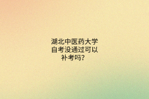 湖北中医药大学自考没通过可以补考吗?