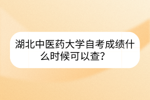 湖北中医药大学自考成绩什么时候可以查?