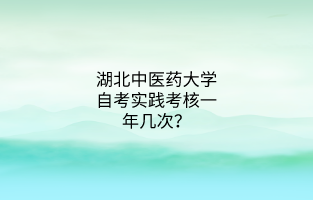 湖北中医药大学自考实践考核一年几次?