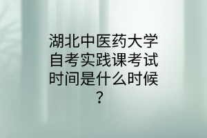 湖北中医药大学自考实践课考试时间是什么时候?