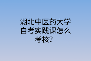 湖北中医药大学自考实践课怎么考核?