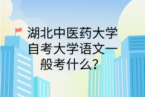湖北中医药大学自考大学语文一般考什么?