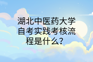湖北中医药大学自考实践考核流程是什么?